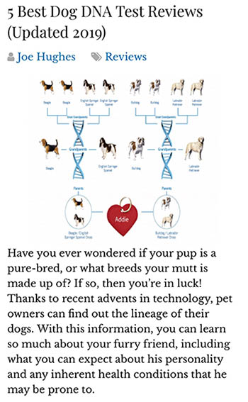 Best Dog DNA Tests